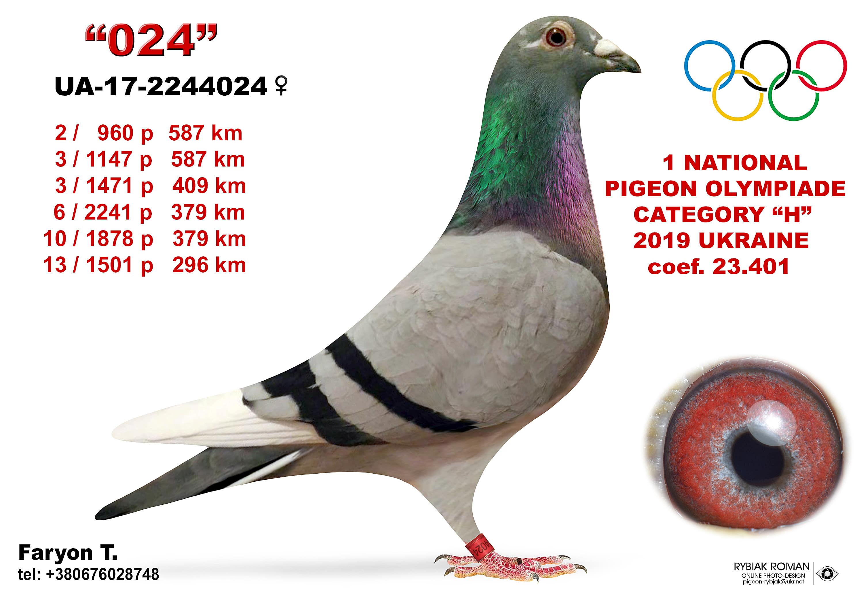2019-H1